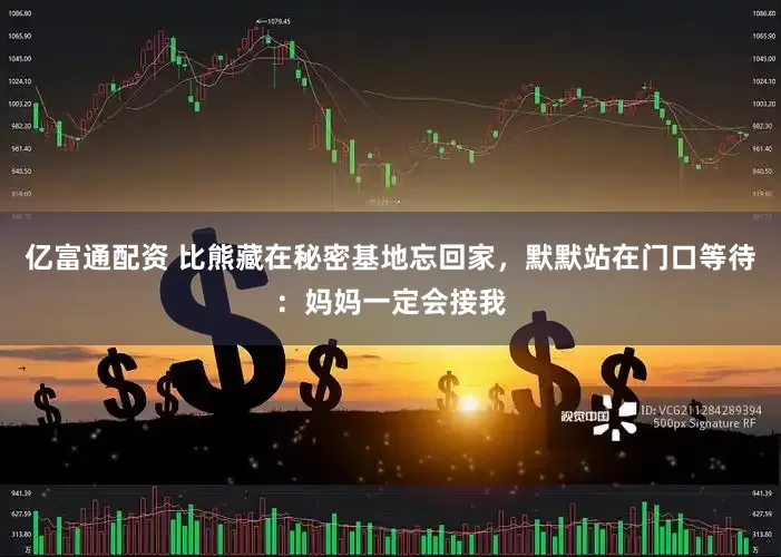 亿富通配资 比熊藏在秘密基地忘回家，默默站在门口等待：妈妈一定会接我